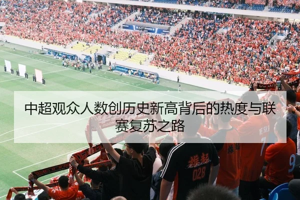 中超观众人数创历史新高背后的热度与联赛复苏之路
